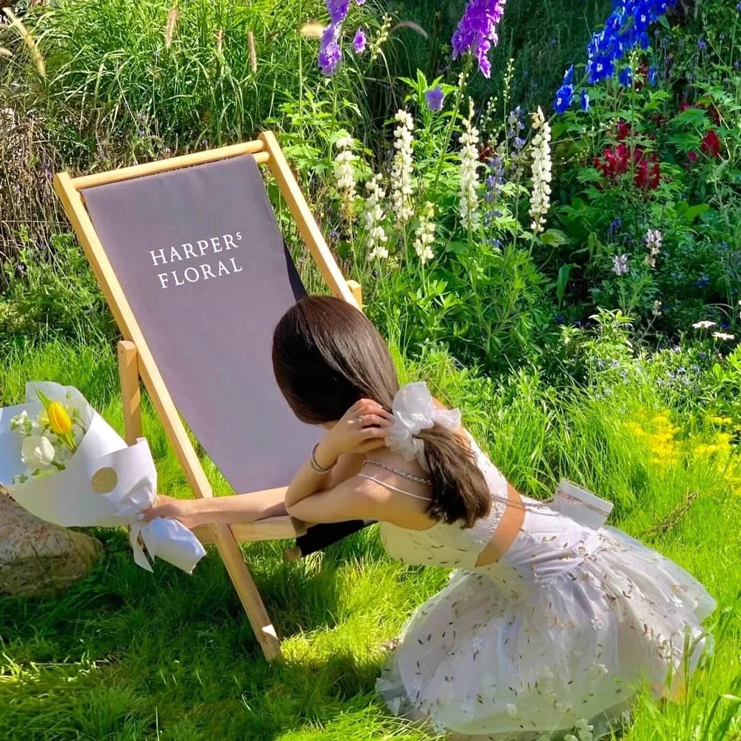 改变大明的国运从朱标开始吧